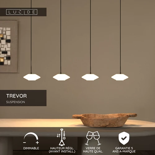 Lucide TREVOR - Suspension - 4xG9 - Opalin - USP